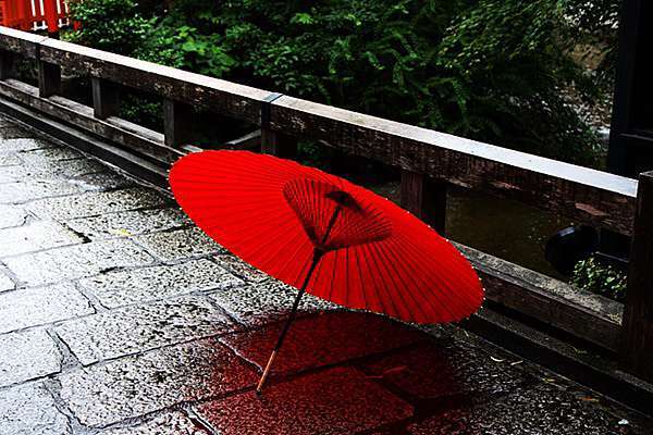 金牌杏宇代理, 金牌杏宇總代是誰?,