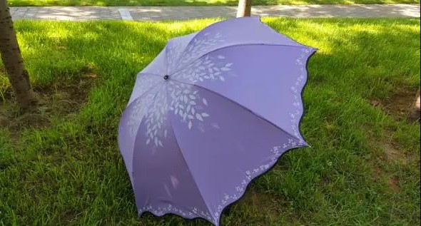 杏宇注冊, 杏宇注冊平臺,