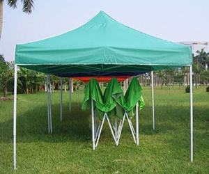 鳳凰杏宇平臺, 杏宇平臺500平臺,