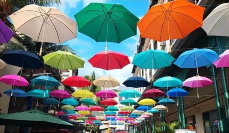 手機杏宇登錄, 手機杏宇app,